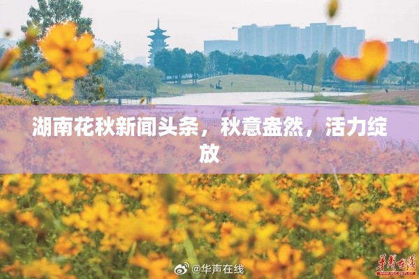 眉目如画 第2页