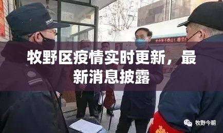 十年磨剑 第3页