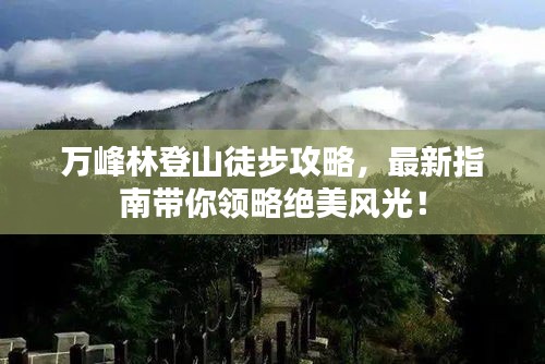 万峰林登山徒步攻略，最新指南带你领略绝美风光！