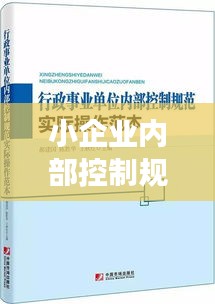 小企业内部控制规范：小企业内部控制规范试行从第几章进行解读A八B九C十D 