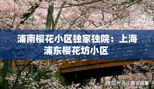 浦南樱花小区独家独院：上海浦东樱花坊小区 