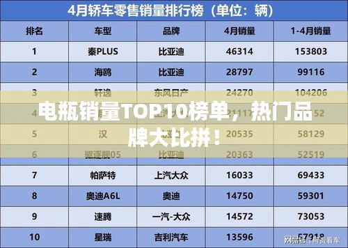 电瓶销量TOP10榜单，热门品牌大比拼！