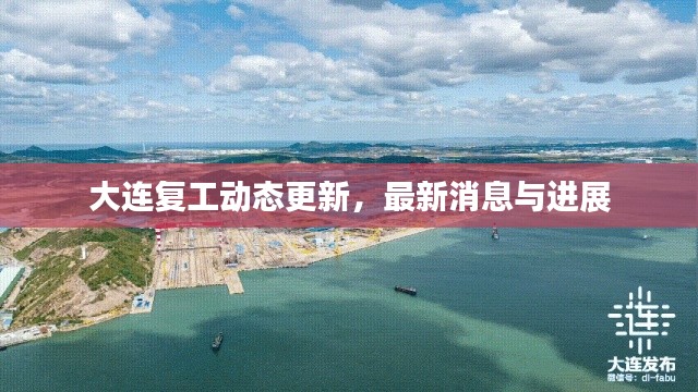 漫天飞舞 第2页