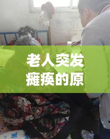 如鸟兽散 第2页