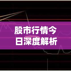 股市行情今日深度解析