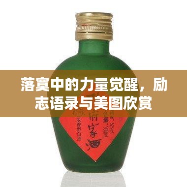 秀外慧中 第2页