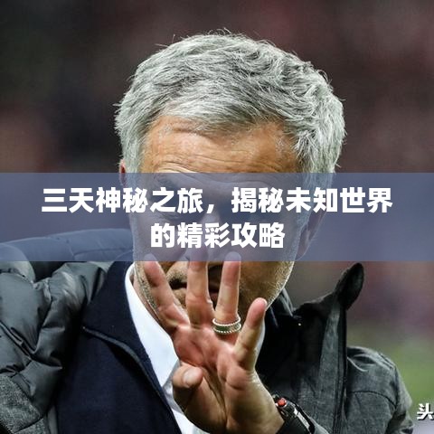目不转睛 第2页