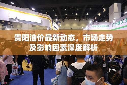 贵阳油价最新动态，市场走势及影响因素深度解析