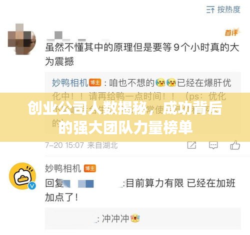 创业公司人数揭秘，成功背后的强大团队力量榜单