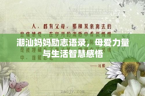 潮汕妈妈励志语录，母爱力量与生活智慧感悟