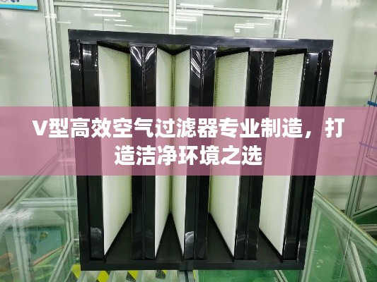 张狂妄行 第2页