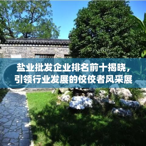 盐业批发企业排名前十揭晓，引领行业发展的佼佼者风采展示
