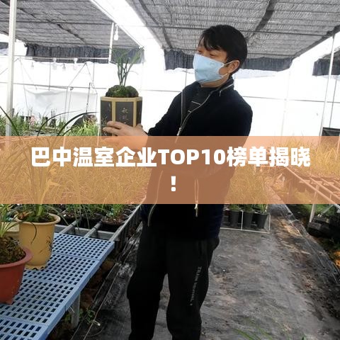 巴中温室企业TOP10榜单揭晓！