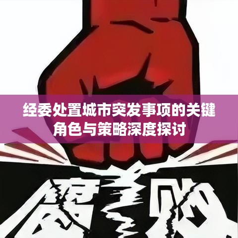经委处置城市突发事项的关键角色与策略深度探讨