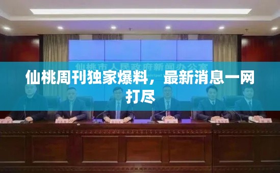 仙桃周刊独家爆料，最新消息一网打尽