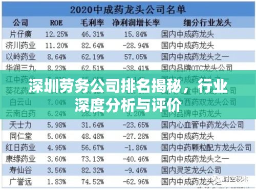 深圳劳务公司排名揭秘，行业深度分析与评价