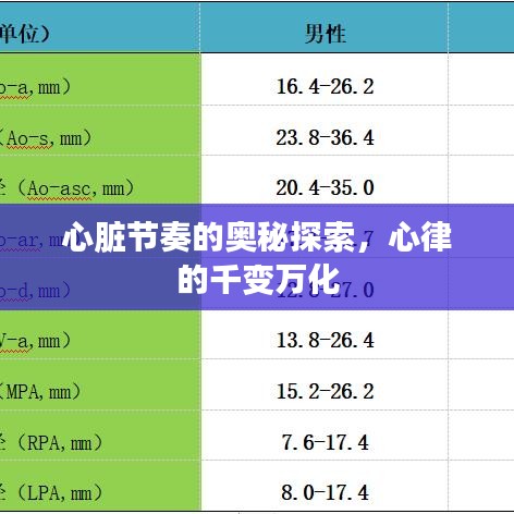 腾龙换鸟 第2页