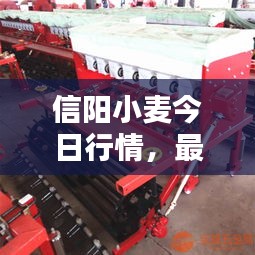 人贵自立 第2页