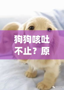 狗狗咳吐不止？原因与应对方法全解析
