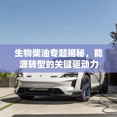 生物柴油专题揭秘，能源转型的关键驱动力