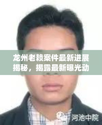 龙州老赖案件最新进展揭秘，揭露最新曝光动态！