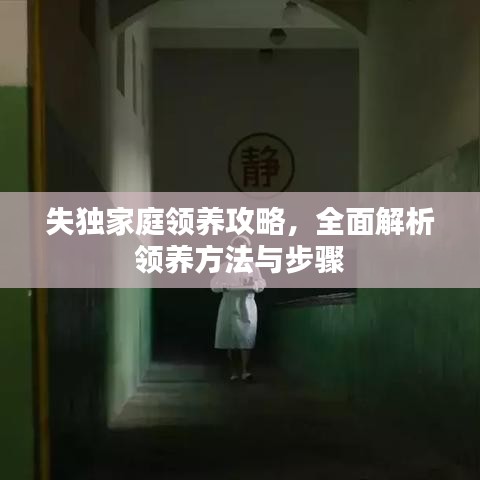 失独家庭领养攻略，全面解析领养方法与步骤