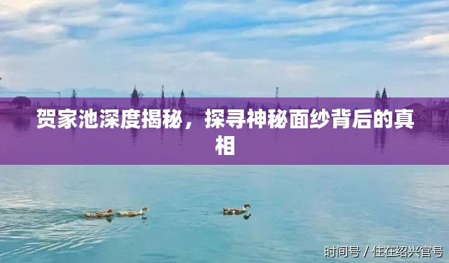 贺家池深度揭秘，探寻神秘面纱背后的真相