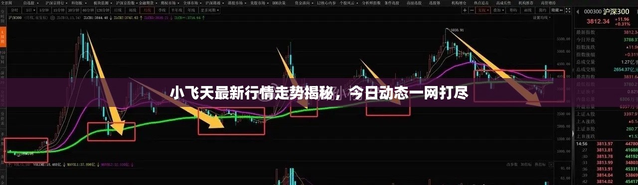 小飞天最新行情走势揭秘，今日动态一网打尽