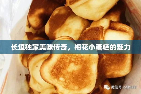 长垣独家美味传奇，梅花小蛋糕的魅力
