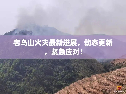 老乌山火灾最新进展，动态更新，紧急应对！