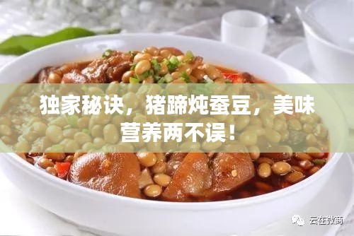 独家秘诀，猪蹄炖蚕豆，美味营养两不误！