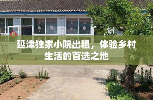延津独家小院出租，体验乡村生活的首选之地