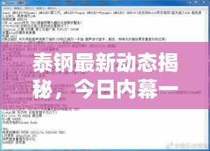 泰钢最新动态揭秘，今日内幕一网打尽