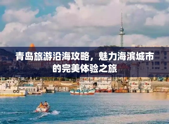 青岛旅游沿海攻略，魅力海滨城市的完美体验之旅