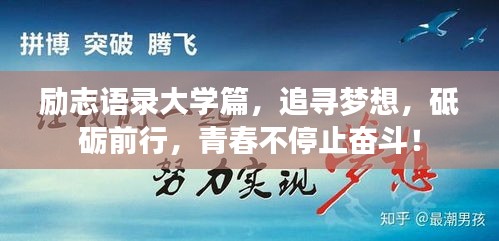 励志语录大学篇，追寻梦想，砥砺前行，青春不停止奋斗！