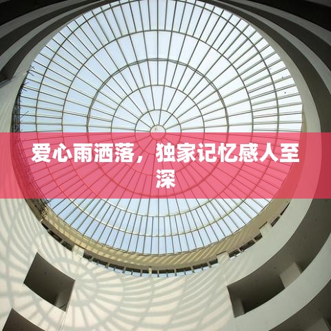 爱心雨洒落，独家记忆感人至深