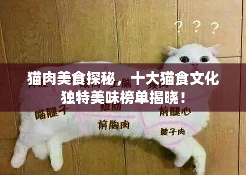猫肉美食探秘，十大猫食文化独特美味榜单揭晓！