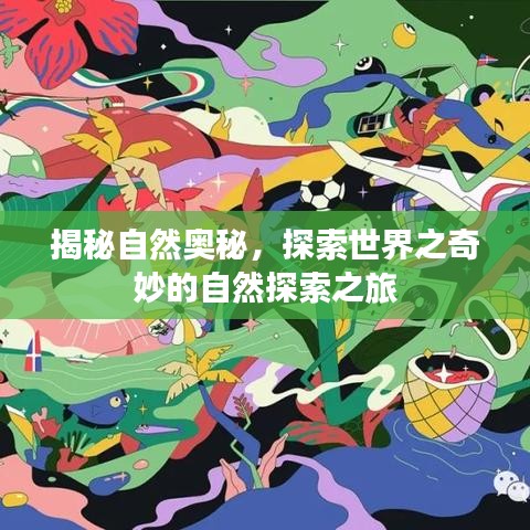 揭秘自然奥秘，探索世界之奇妙的自然探索之旅