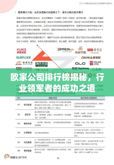 欧家公司排行榜揭秘，行业领军者的成功之道