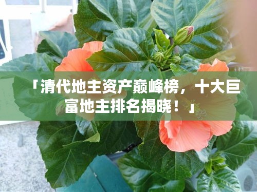 「清代地主资产巅峰榜，十大巨富地主排名揭晓！」