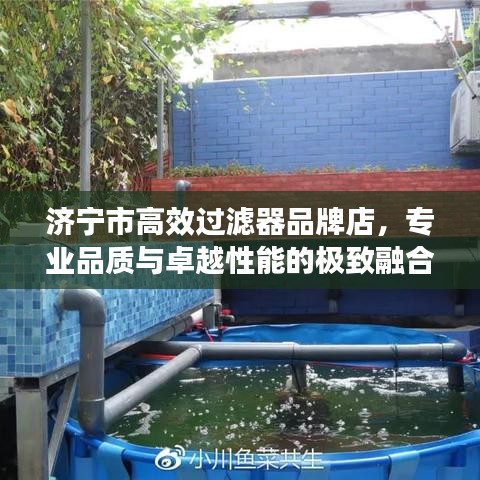 济宁市高效过滤器品牌店，专业品质与卓越性能的极致融合