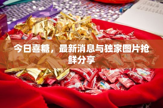 今日喜糖，最新消息与独家图片抢鲜分享
