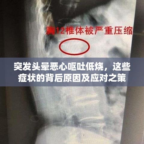 突发头晕恶心呕吐低烧，这些症状的背后原因及应对之策