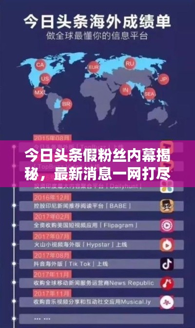 今日头条假粉丝内幕揭秘，最新消息一网打尽