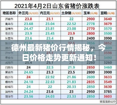德州最新猪价行情揭秘，今日价格走势更新通知！