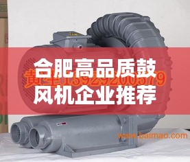 合肥高品质鼓风机企业推荐，卓越性能，高效稳定