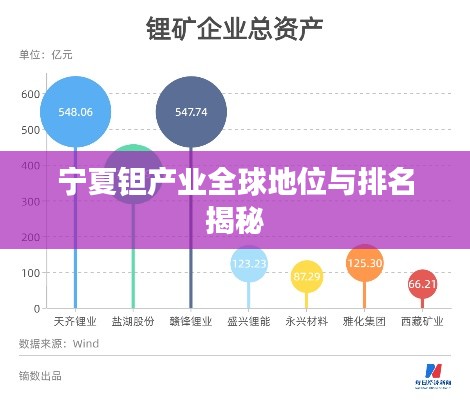 宁夏钽产业全球地位与排名揭秘