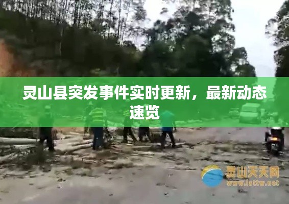 灵山县突发事件实时更新，最新动态速览