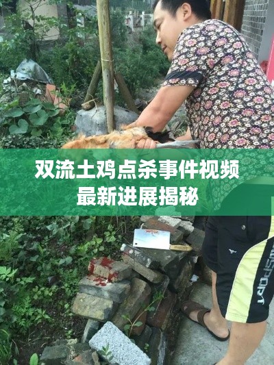 双流土鸡点杀事件视频最新进展揭秘