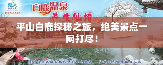 平山白鹿探秘之旅，绝美景点一网打尽！